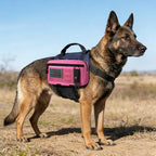 Tactical Molle Admin Pouch Utility Laser Cut EDC Tool Pouch Bag Horizontal Modular Pouches Include US Flag Patch and Keychain (Pink)