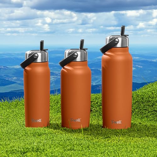Recycled Stainless Steel Explorer with Flip Straw Lid (Carnelian / 23.7 Ounces)
