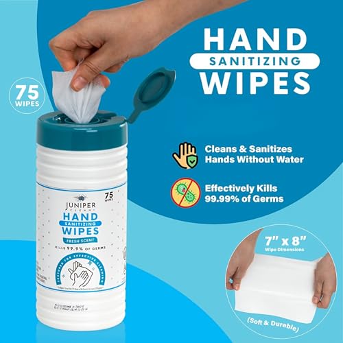 1 Pack Hand Sanitizing Wipes (75 Count (Pack of 1))