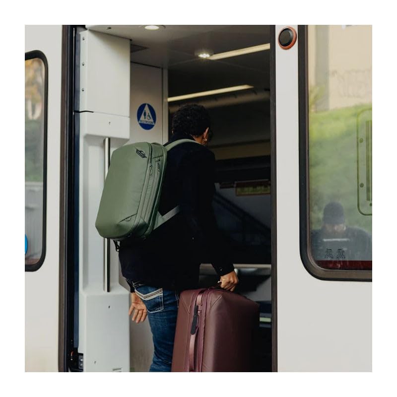 Travel Backpack 20L (Sage / 20L)