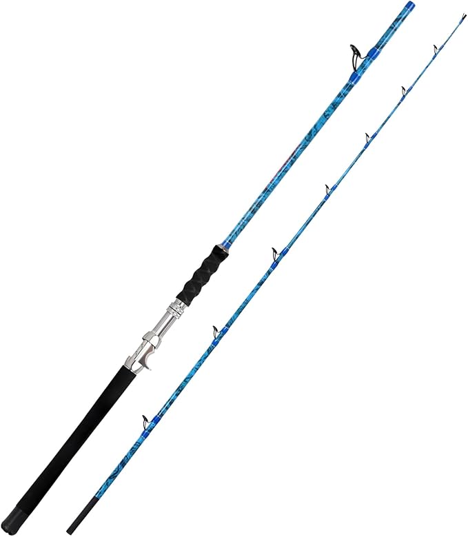 Fiblink 2-Piece Boat Conventional Fishing Rod Portable Spinning/Casting Rod - Image 6