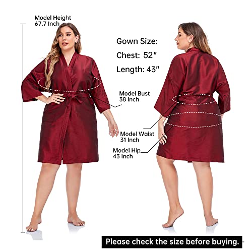 Salon Client Gown Robes Cape (Red)