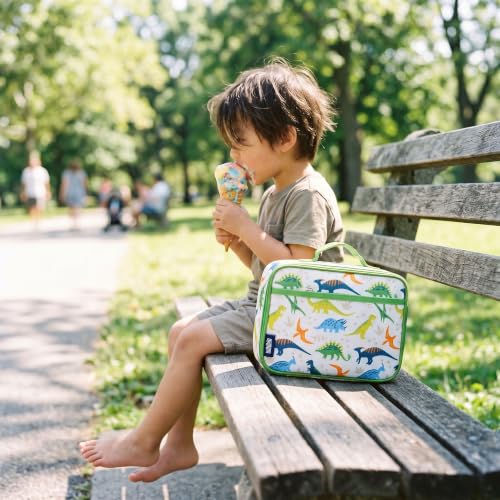 Insulated Lunch Box for Kids (9.75 x 7 x 3.25 inches / Dinosaur Adventures)