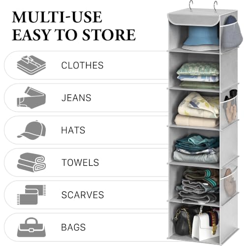 6 Shelf Hanging Closet Organizer (6 Shelf / Grey)
