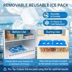 Snackle Box Container with 2 Ice Packs