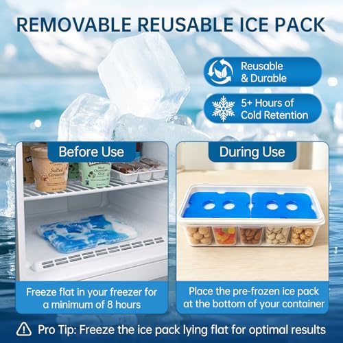 Snackle Box Container with 2 Ice Packs