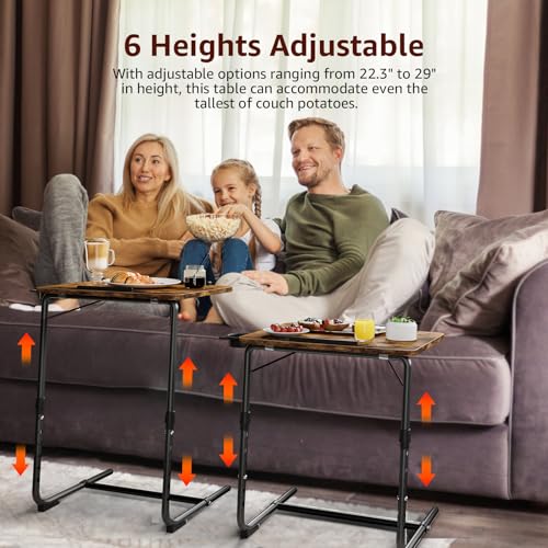 TV Trays Set of 2 (Rustic)