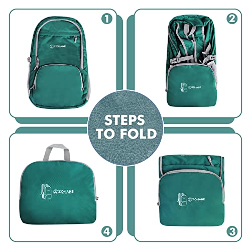 Lightweight Packable Backpack 30L (30L / Dark Green)