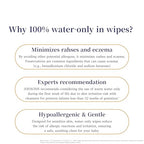 100% Water Wet Wipes (22 Count (Pack of 5))