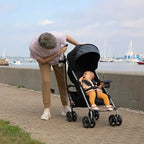 3Dlite Convenience Stroller (Dark Gray)