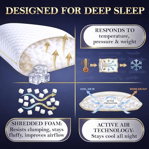 Queen Memory Foam Pillow (Queen (Pack of 1))