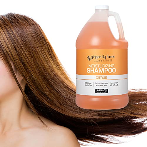 Club & Fitness Shampoo (128 Fl Oz (Pack of 4))