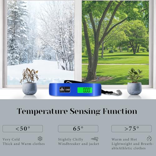Luggage Scale (Blue)