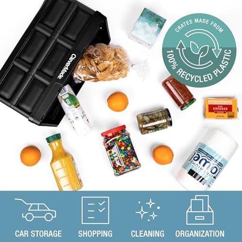 Collapsible Storage Bins (Obsidian / 32l - 3 Pack)