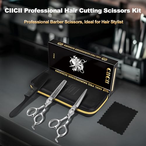 Professional Hair Cutting Scissors Kit (7.3 Inch / Silver Hair Scissors Kit)