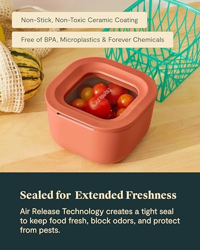 Mini Square Food Storage Container (Sage / 1.75 Cup Container (1x))