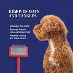 Baby G Dog Slicker Brush for Dogs (Small / Coral)