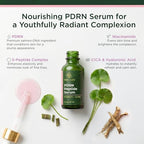 PDRN Serum for Face with Salmon DNA & CICA (1 Fl Oz (Pack of 1))