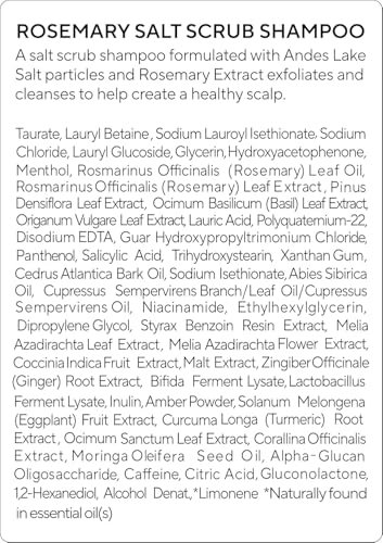 Rosemary Salt Scrub Shampoo (04. Rosemary Scrub Shampoo 1 Pack)