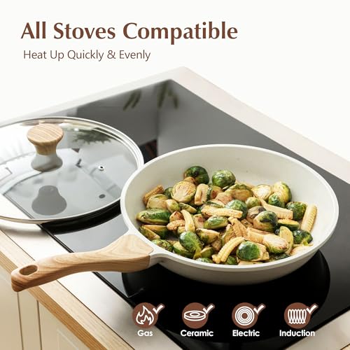 9.5Inch Nonstick Ceramic Frying Pan with Lid (White Ceramic / 9.5 Inch)