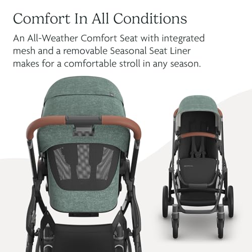 Vista V3 Convertible Single (Vista V3 Stroller / Gwen (Green Mélange)