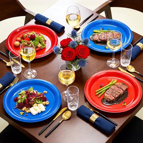 100 Count Red and Blue Disposable Plates 10 Inch (Red/Blue / 100 Pcs)
