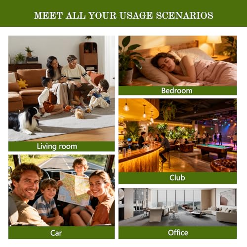 Waterless Essential Oil 20ML Patchouli Hotel Scent Oil (0.68 Fl Oz (Pack of 1))