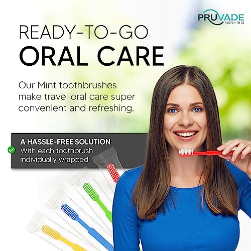 1000 Pack Disposable Toothbrushes with Toothpaste (1000 Pack)