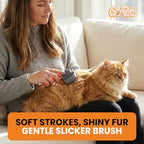 Self Cleaning Slicker Brush for Dogs & Cats (Slicker Dematting Comb)