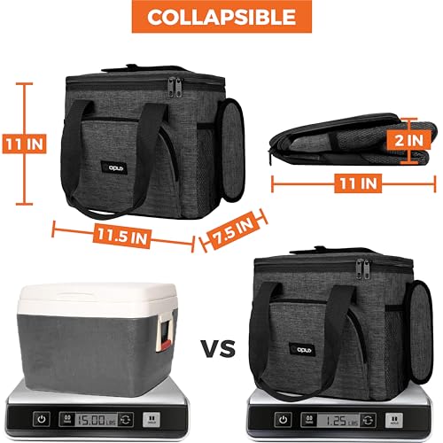Soft Cooler Bag (Charcoal / 24 Cans)