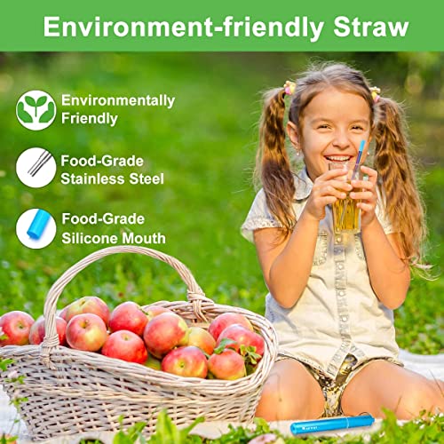 Reusable Collapsible Metal Straws (Blue-Black-Rose Gold-Silver)