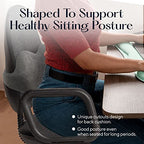 Lumbar Support Pillow (Lumbar Support Pillow)