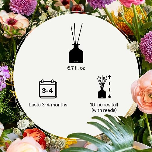 Scented Reed Diffuser for Home