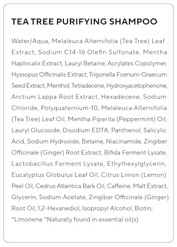 Purifying Tea Tree Shampoo for Men & Women (02. Tea Tree 1 Pack)