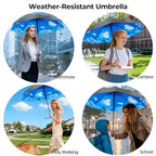 Compact Travel Umbrella (High clouds (Auto))