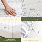 100% Egyptian Cotton Queen Size Sheets Set (Queen / 19 - Polka Dot Navy)