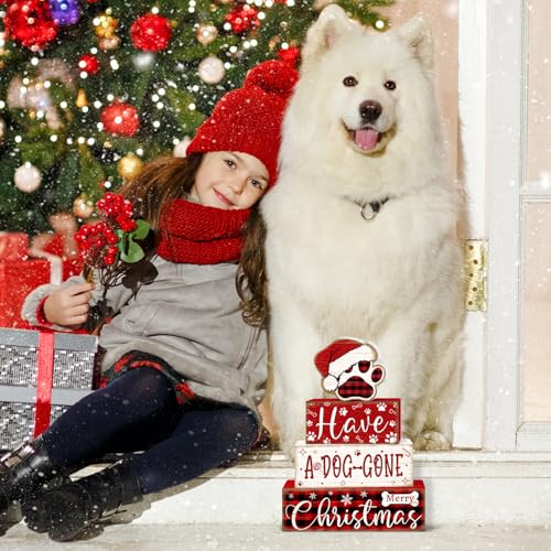 Tiered Tray Decor Set (Christmas Dog)
