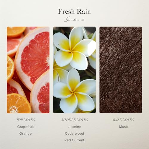 Fresh Rain Hotel Diffuser Oil (16.9 Fl Oz (Pack of 1))