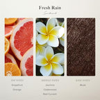 Fresh Rain Hotel Diffuser Oil (16.9 Fl Oz (Pack of 1))