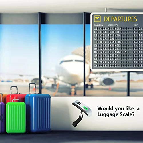 Digital Hanging Luggage Scale with Backlit for Travel (Silver)