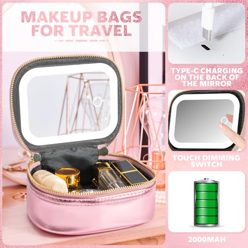 Mini Makeup Bag with Led Mirror (Roses)