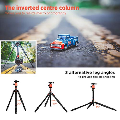 77’’ Tripod Camera Tripod for DSLR (77 Inches Tripod - B07DC48V5H)
