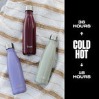 Stainless Steel Water Bottle (Mountain Sage / 16.9 Ounces)