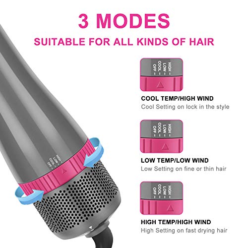 Hair Dryer Brush Set (Silver)