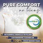 Queen Memory Foam Pillow (Queen (Pack of 1) - NEW)