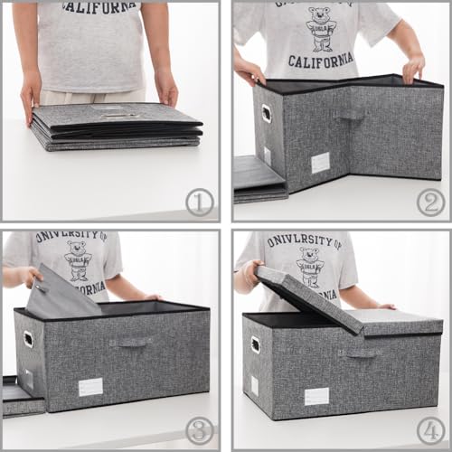 Storage Bins with Lids [3 (Gray / XL(3-Pack))