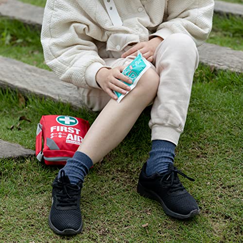 First Aid Kit (Red / 175 Piece Set)