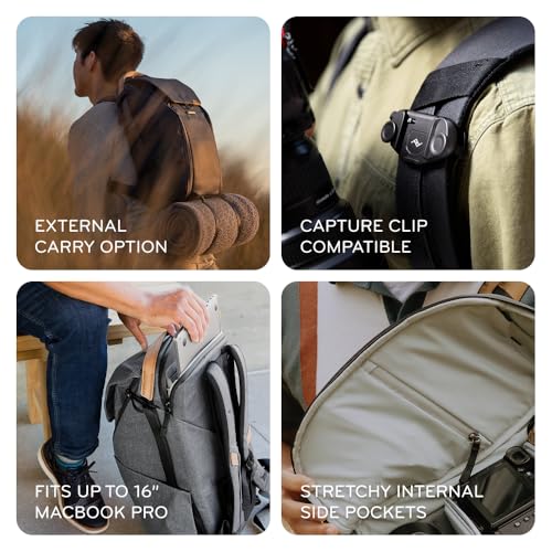 Everyday Backpack 30L (30L / Kelp)