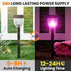 Solar Yard Lights (Multicolor / 4 Pack)