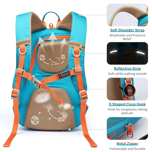 Small Hiking Backpack (Lake Blue / 20L)